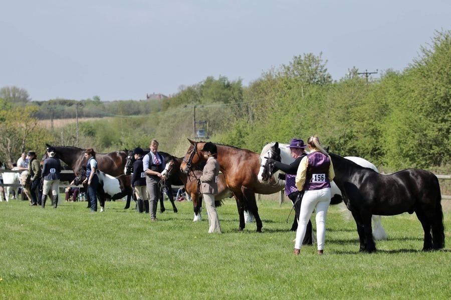 Abram Hall Riding Club June Points Show