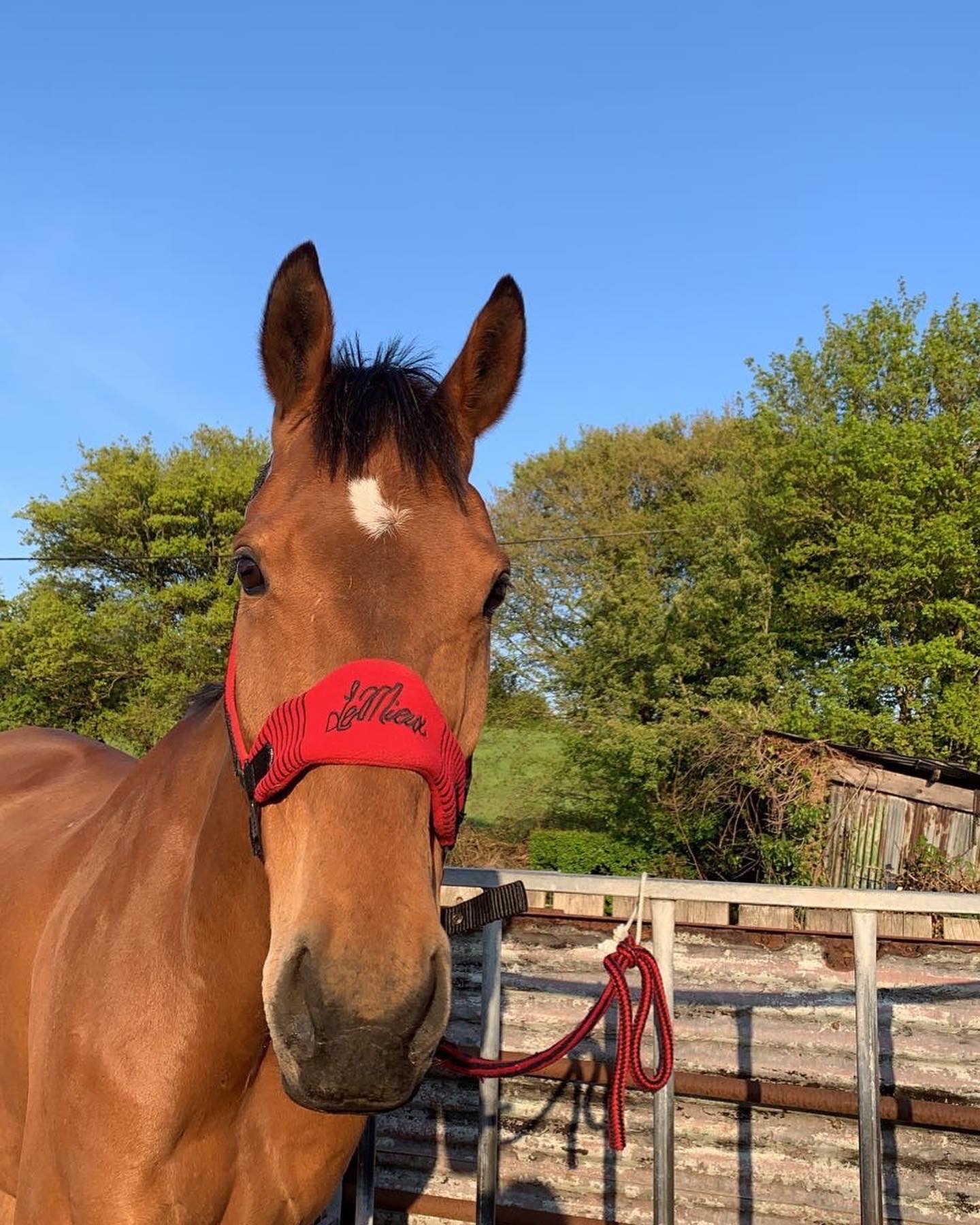 Leyland Equestrian Centre at Robert Pearson blog