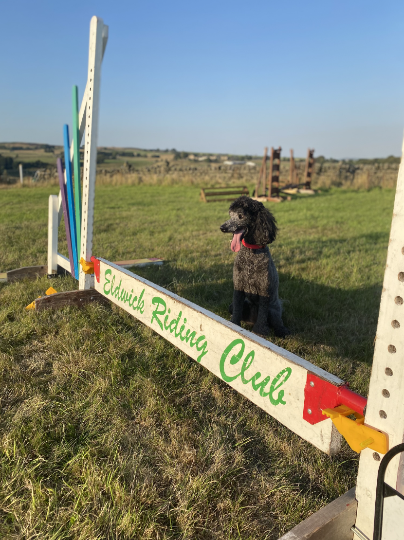 Hoofpick Eldwick & Bingley Riding Club