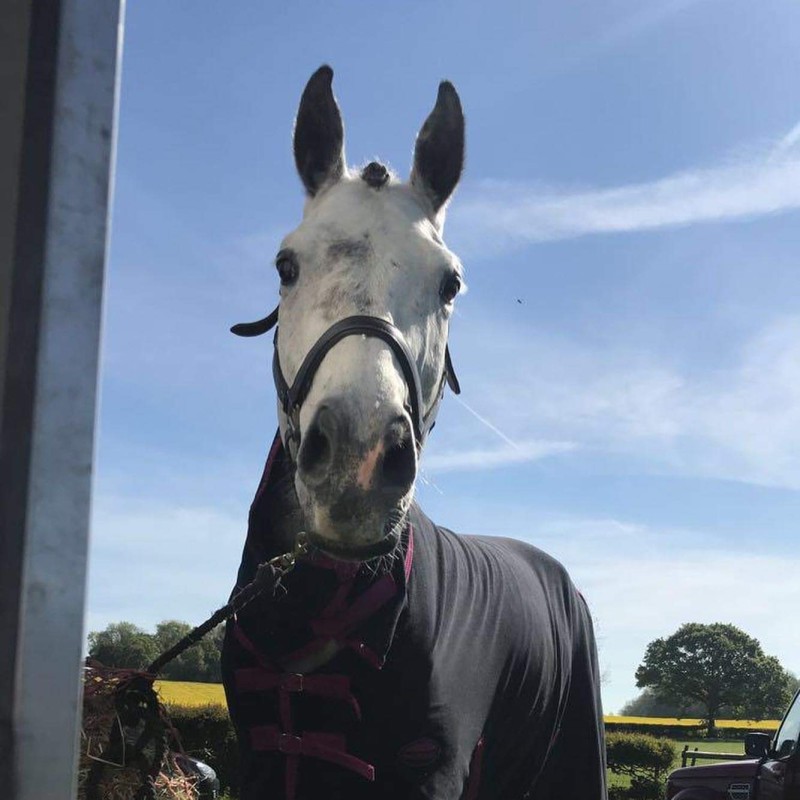 Hoofpick Leyland Court Equestrian Centre