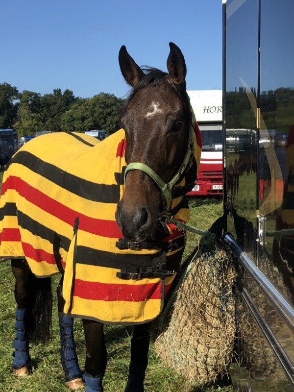 Hoofpick Leyland Court Equestrian Centre