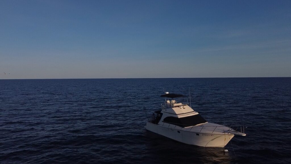 Hook & Cook Fishing trips hook and cook experience