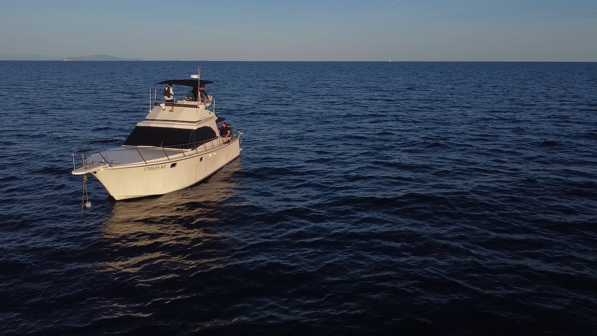 Hook & Cook Fishing trips hook and cook experience