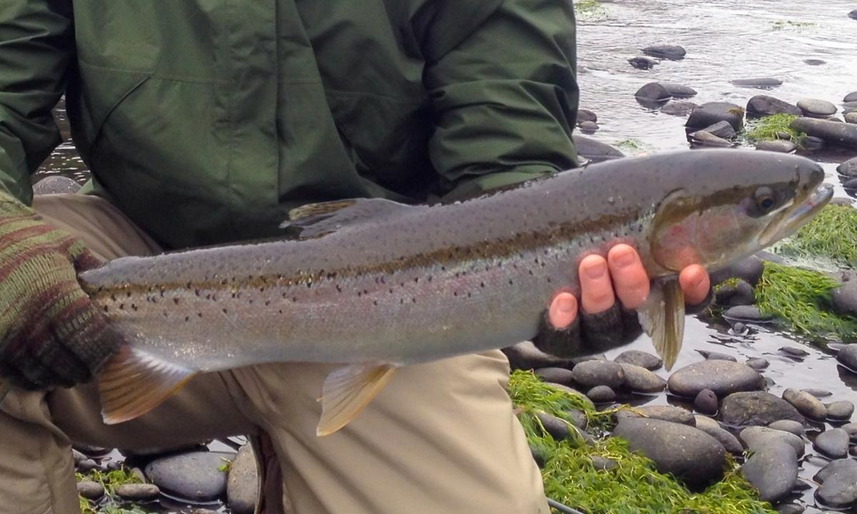 Pennsylvania Fishing Everything You Need to Know