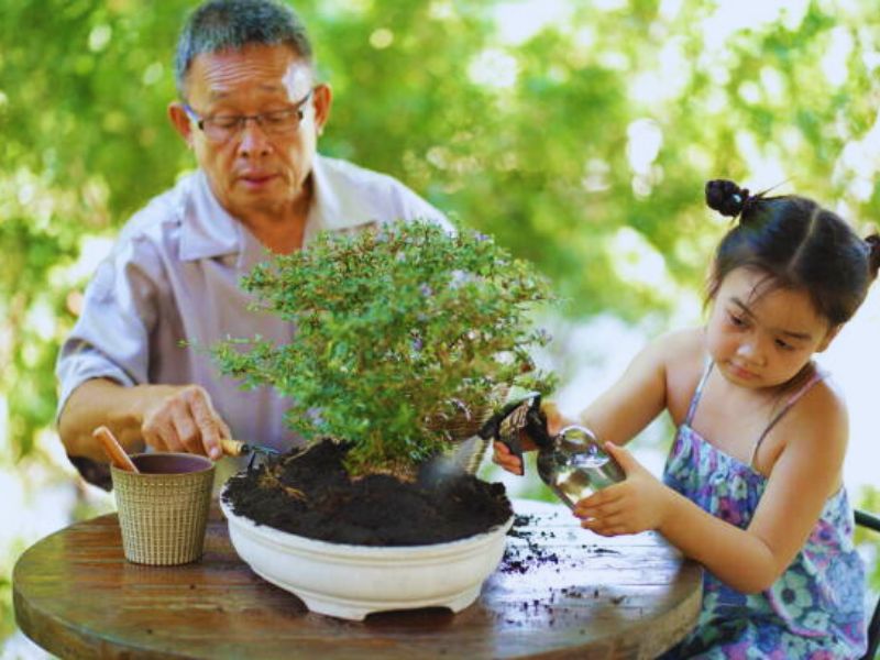 Bonsai & Soil pH Balancing Acidity And Alkalinity Hooked on Bonsai