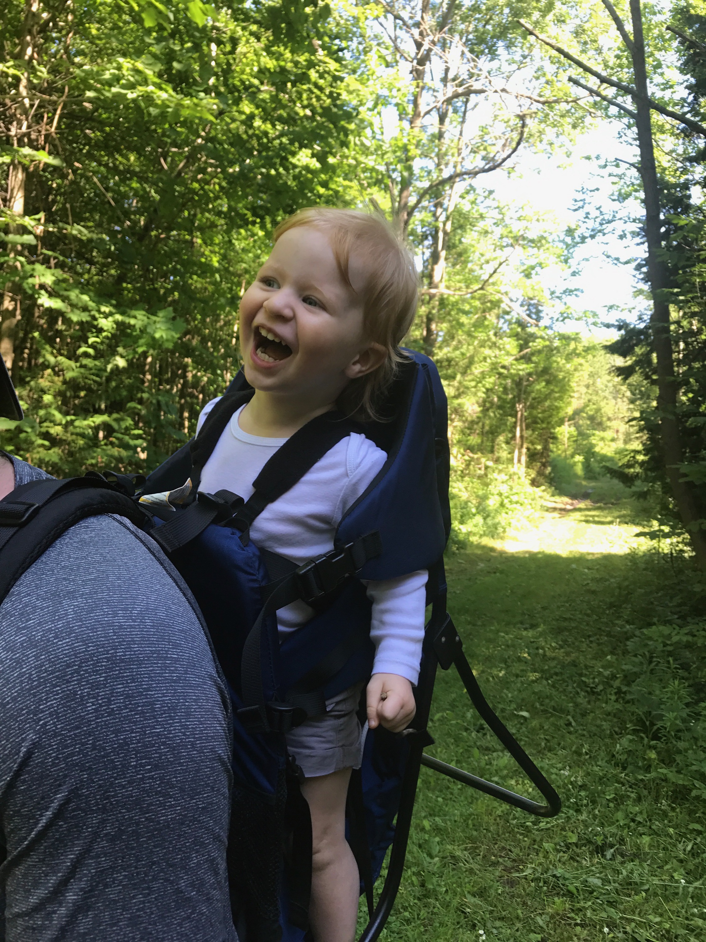 Family Travel Made Easy With Happytrails From MEC To Fro, 50 OFF