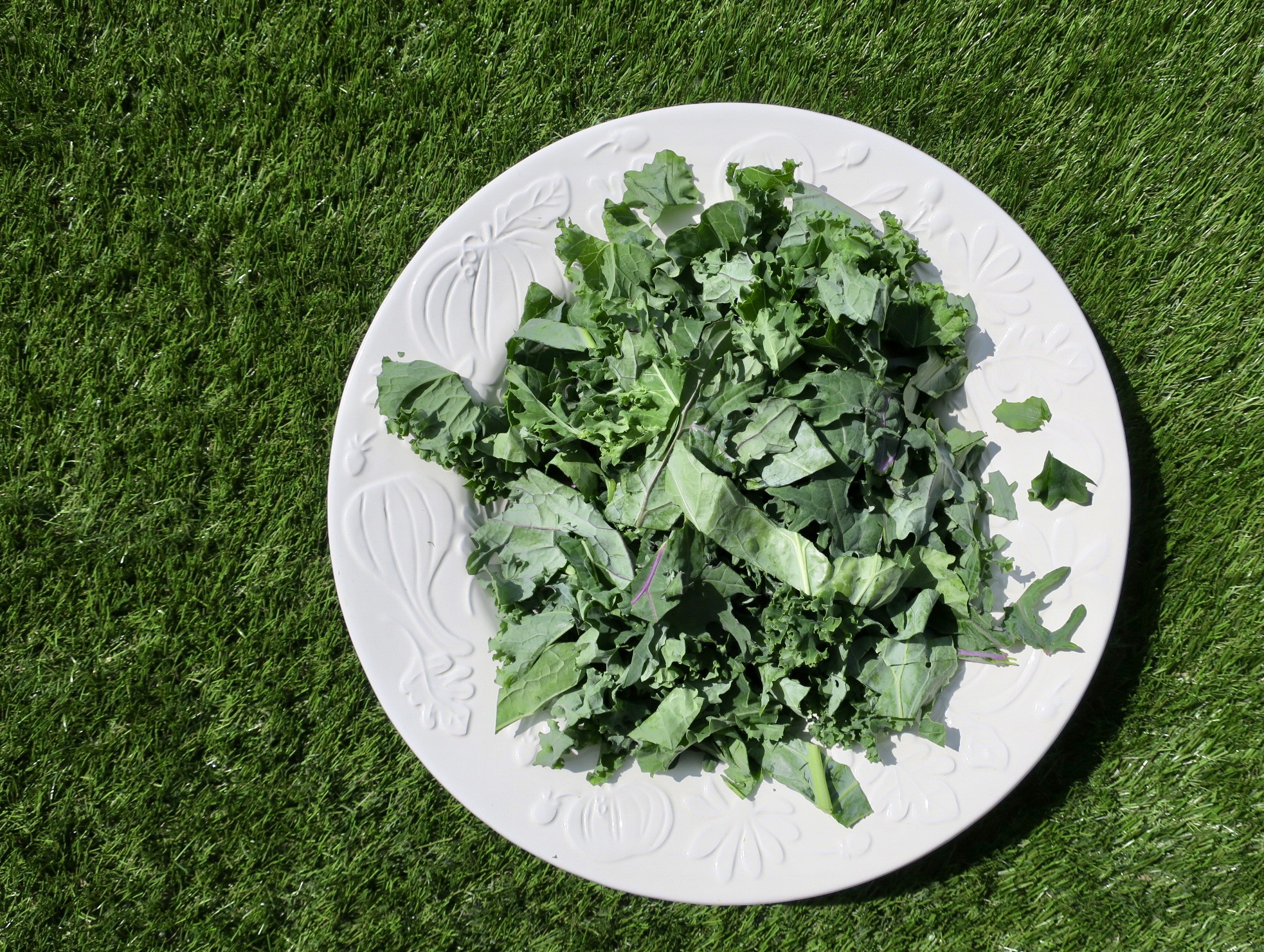Garlicky Dill Pickle Kale Chips