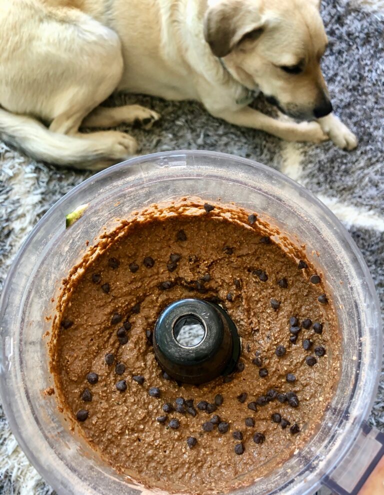 Chocolate Zucchini Banana Bread Vegan + GlutenFree HookedOnPlants