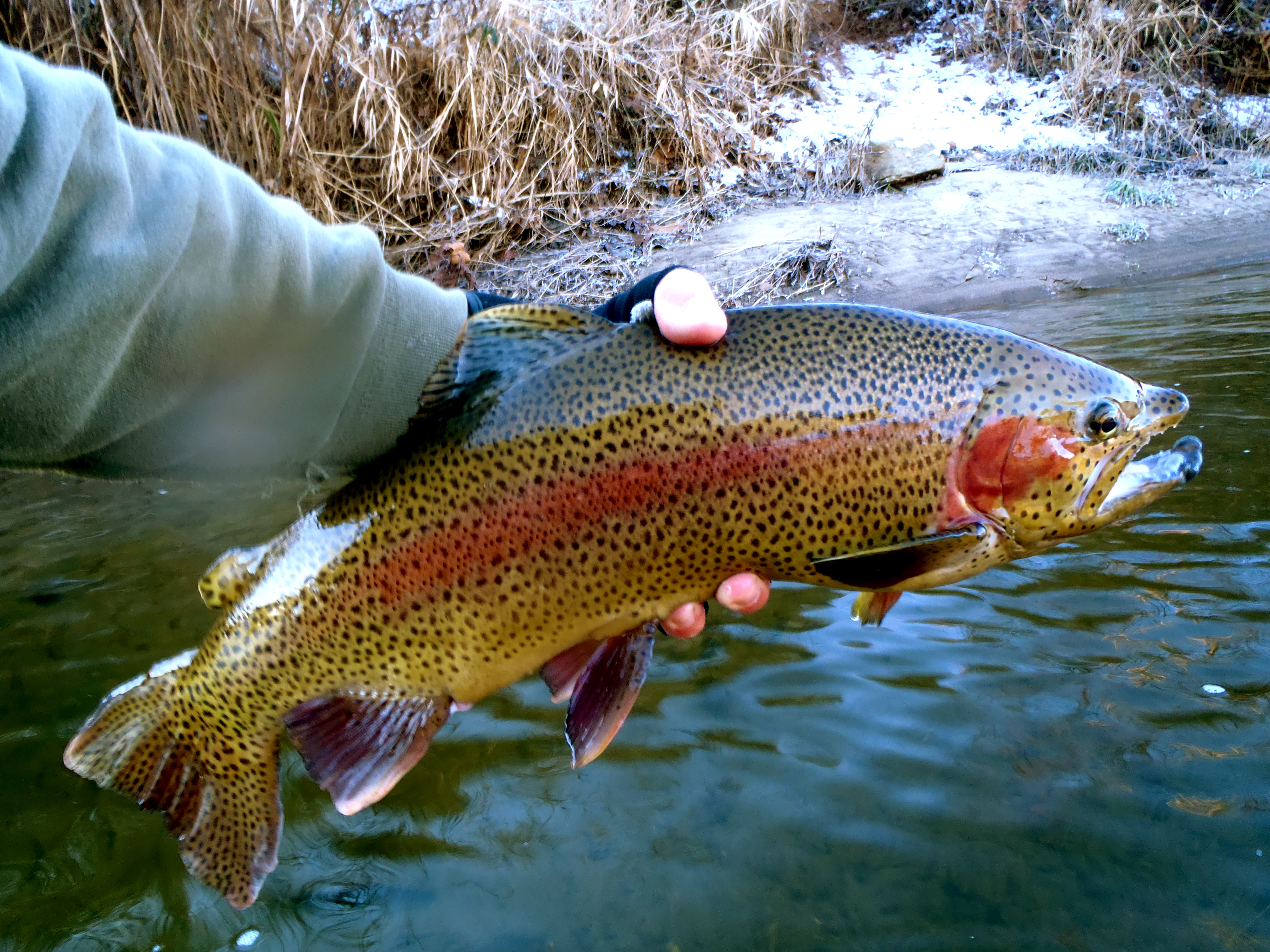 Cherokee Fly Shop Hookers Fly Shop and Guide Service. Your Smokies