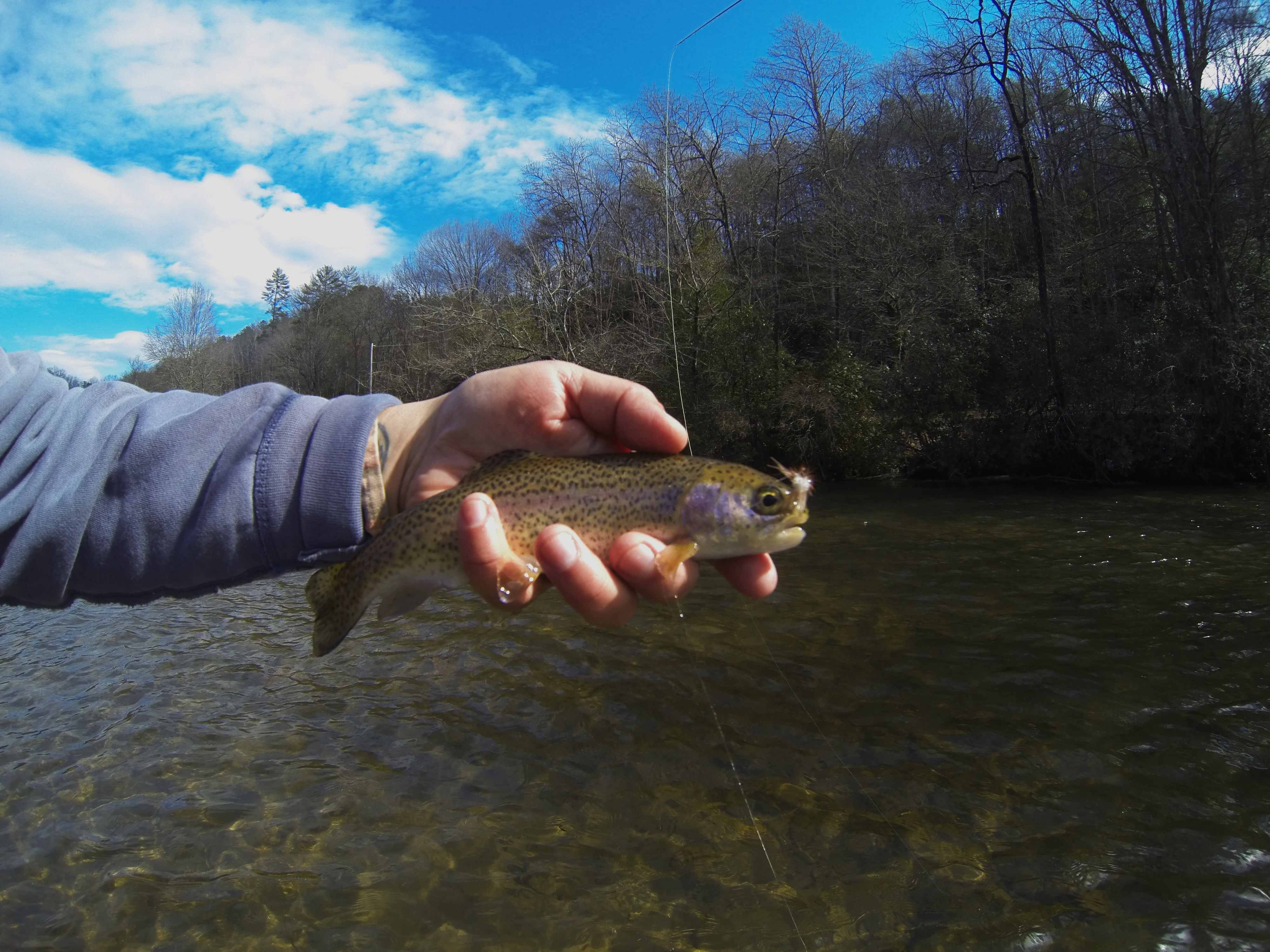 Guided Fly Fishing Trips on the Western North Carolina Fly Fishing Trail Hookers Fly Shop and