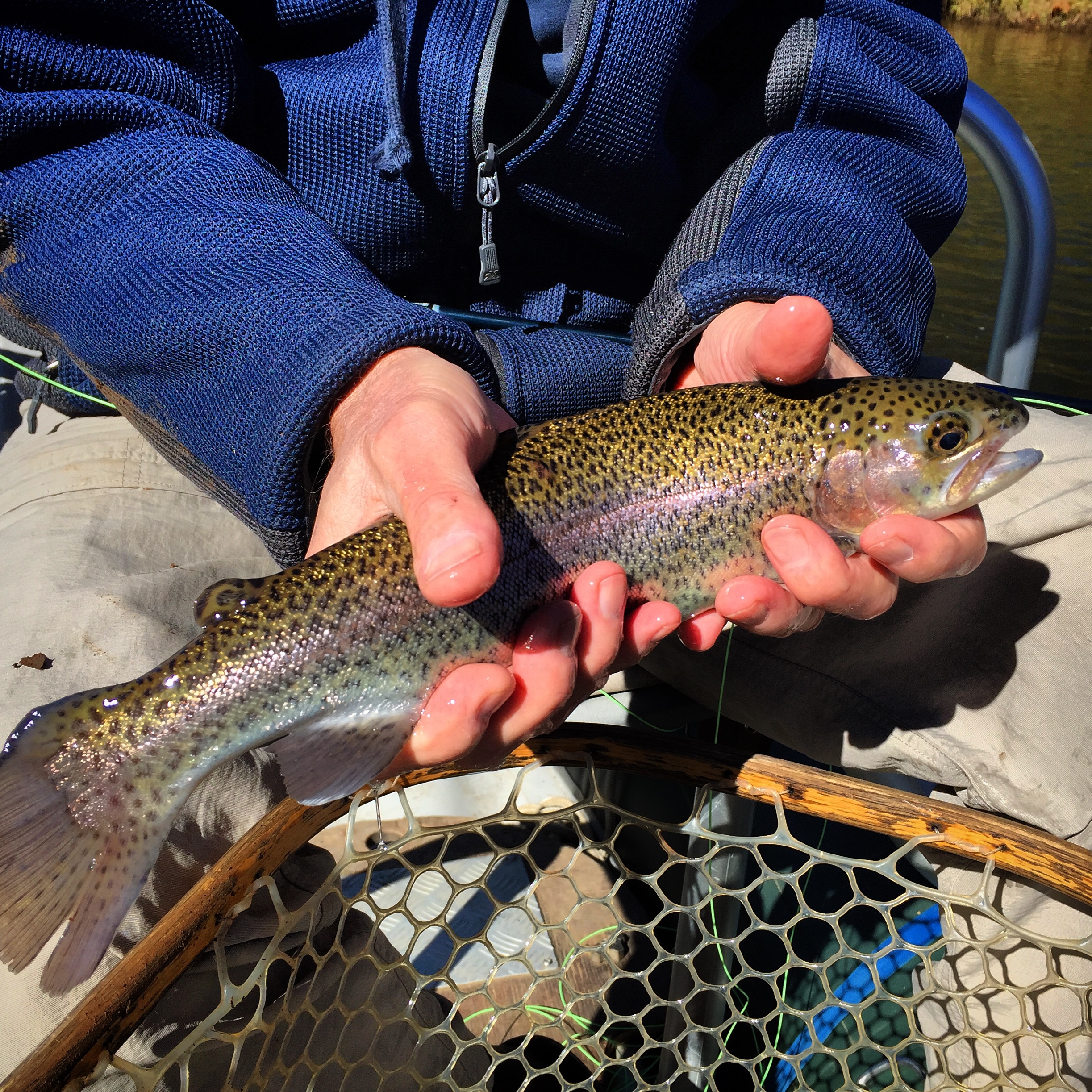 Fall Fly Fishing in Western North Carolina Hookers Fly Shop and Guide