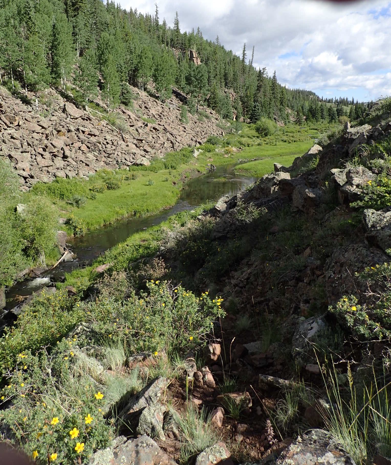 Colorado Dreamin’ On Such A Winter’s Day La Jara Creek Near Alamosa