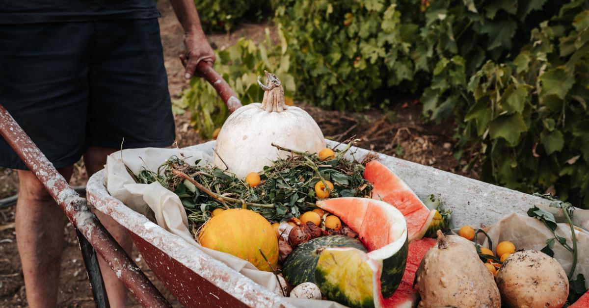 Diferencias entre Biodegradable, Reciclable y Compostable Hooli