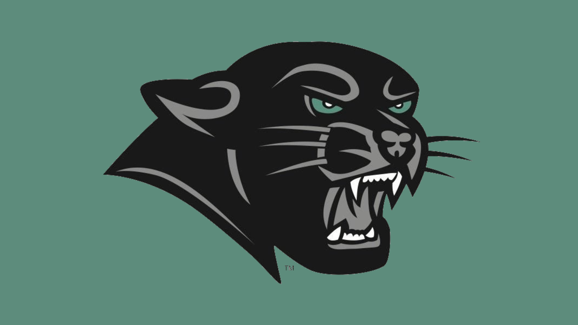 Plymouth St. MBB assistant Arsenault takes over Panthers WBB program