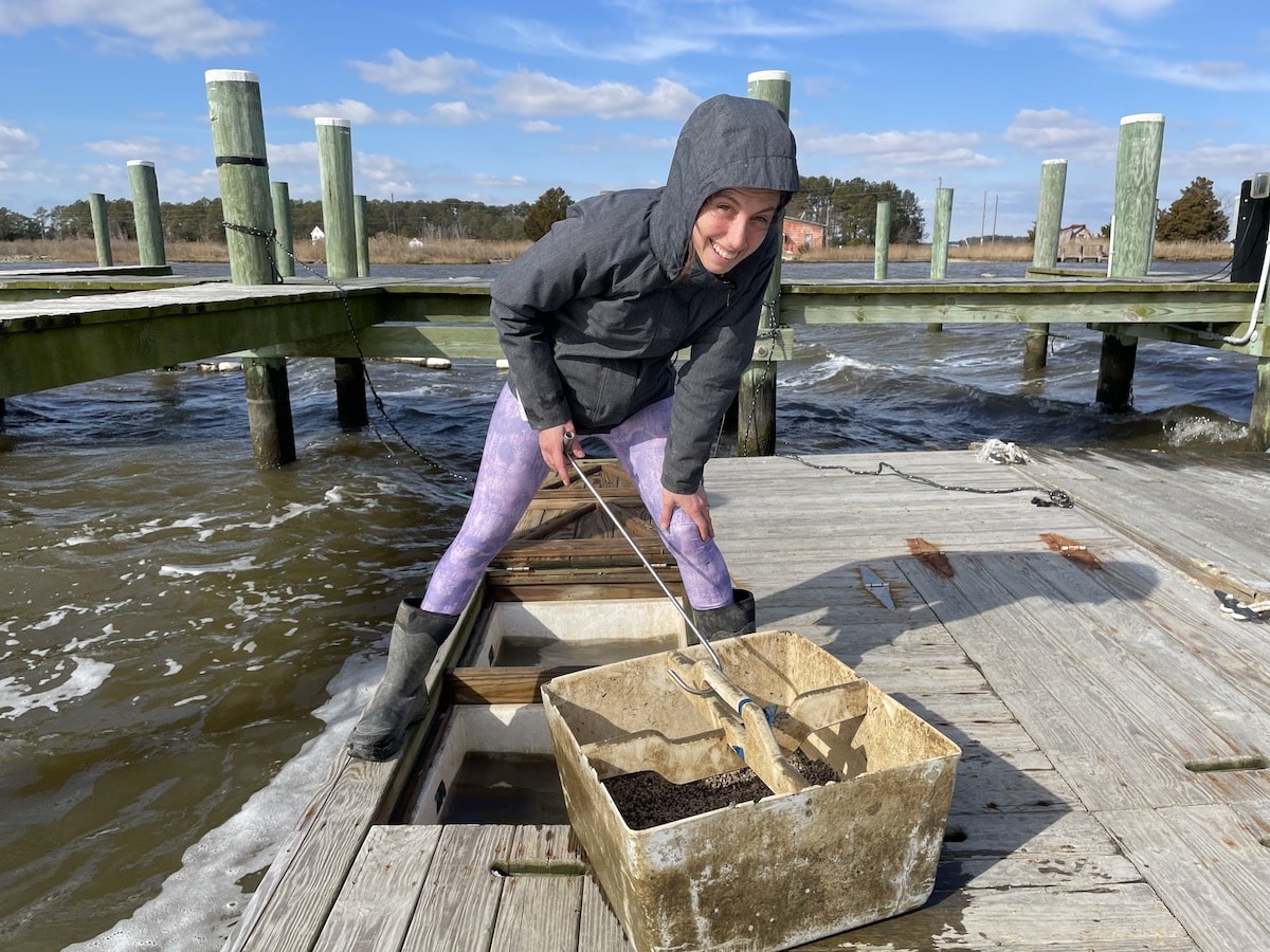 Aquaculture Best Practices Enhance Oyster Farming Production