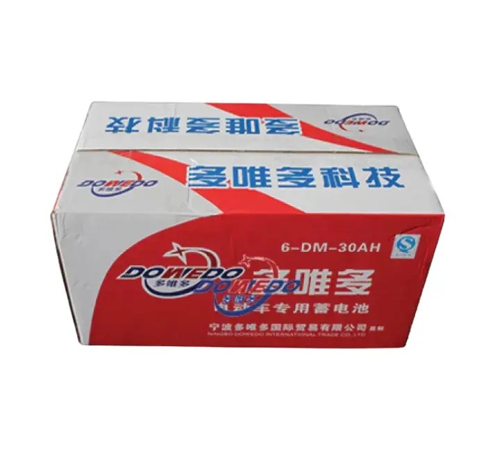 Best Auto Rickshaw Battery in Bangladesh