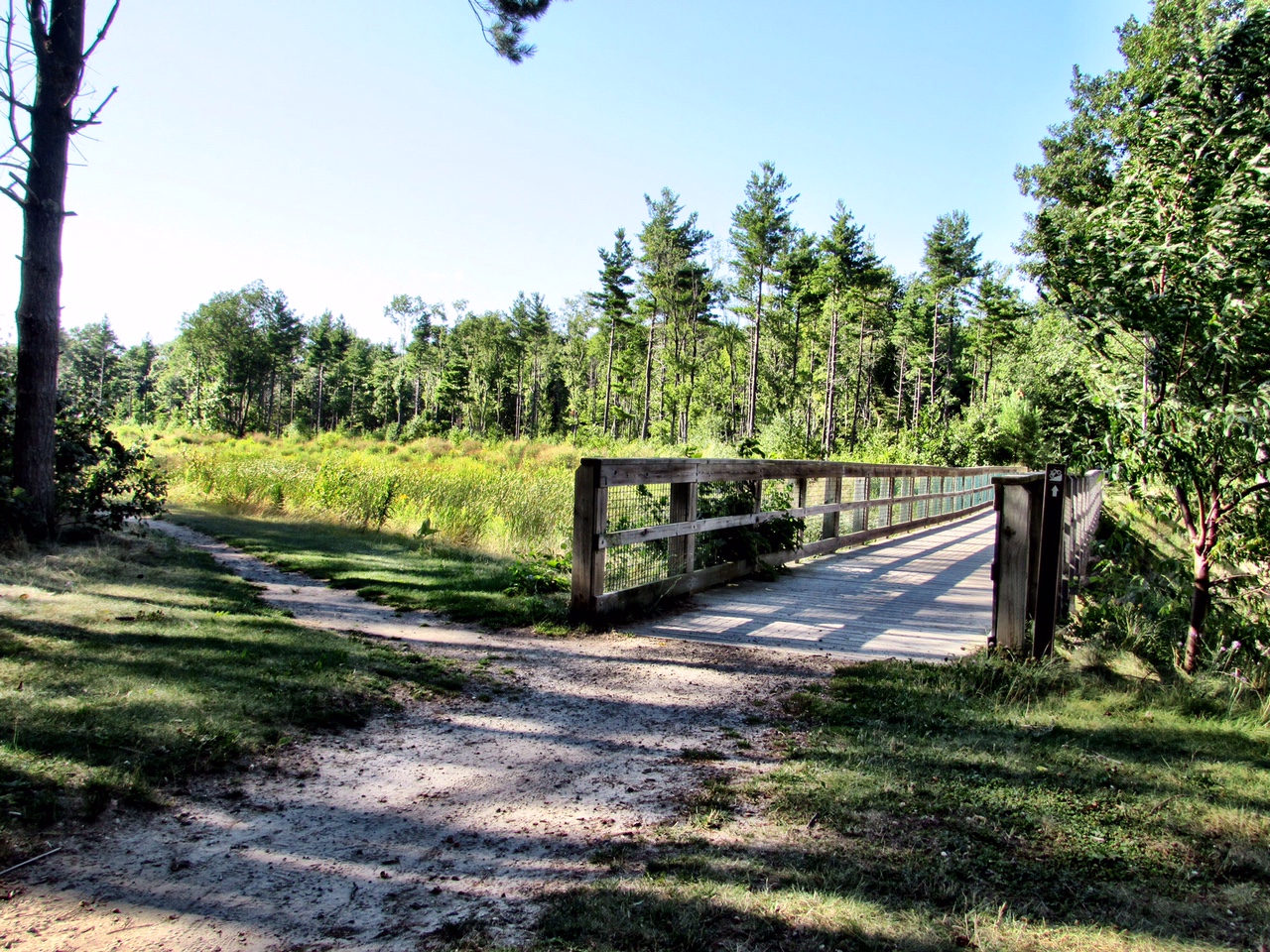 Riley Trails, Revisited—3rd Visit [Runner’s High] Hooray Run