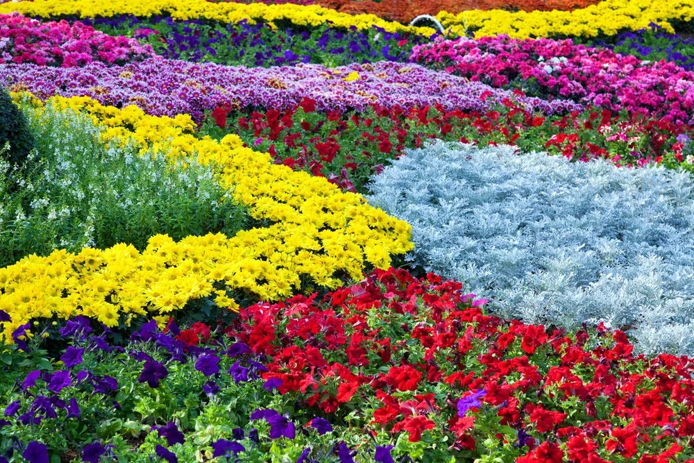10 Flower Bed Ideas to Elevate Your Garden's Beauty HooShout