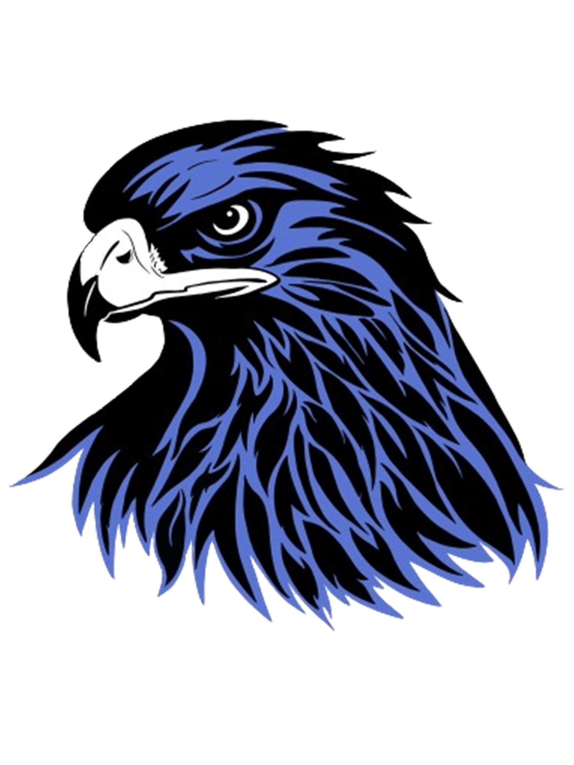 High School Hoosic Valley Central School District