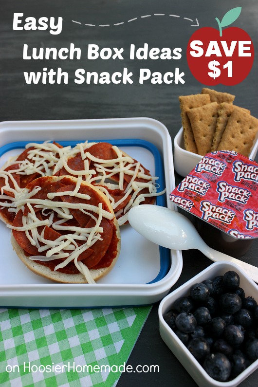 5 Easy Lunch Box Ideas Hoosier Homemade