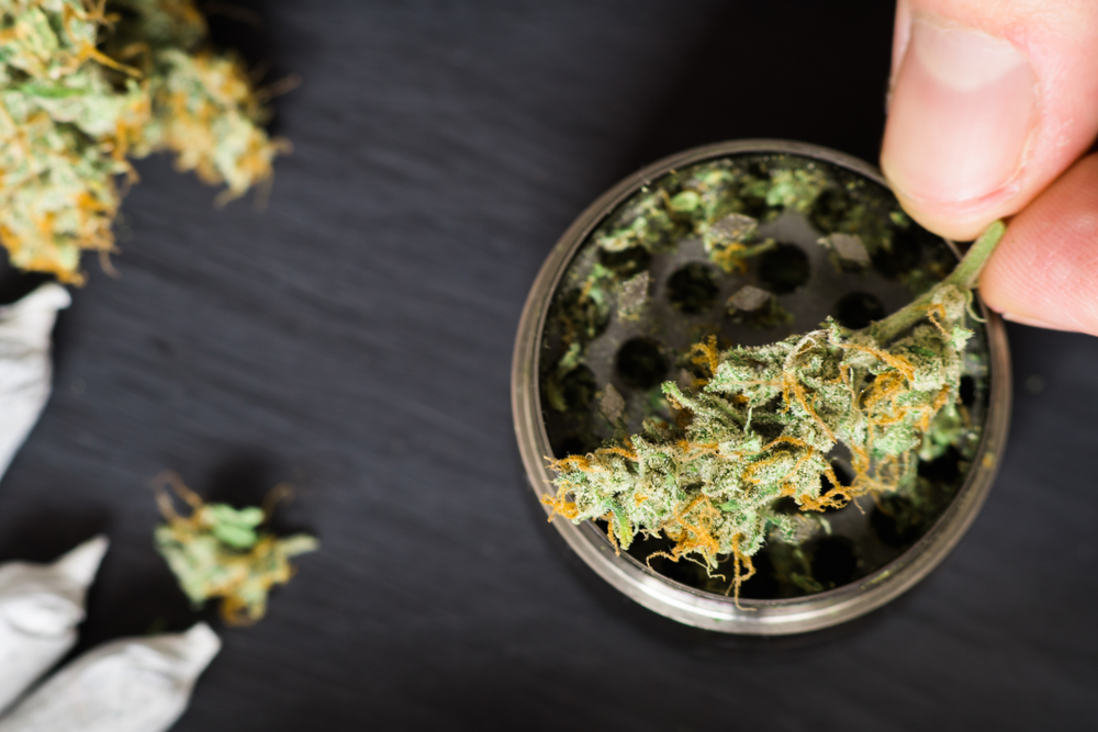 How To Make Cannabis Oil StepByStep Guide Hooti Extracts