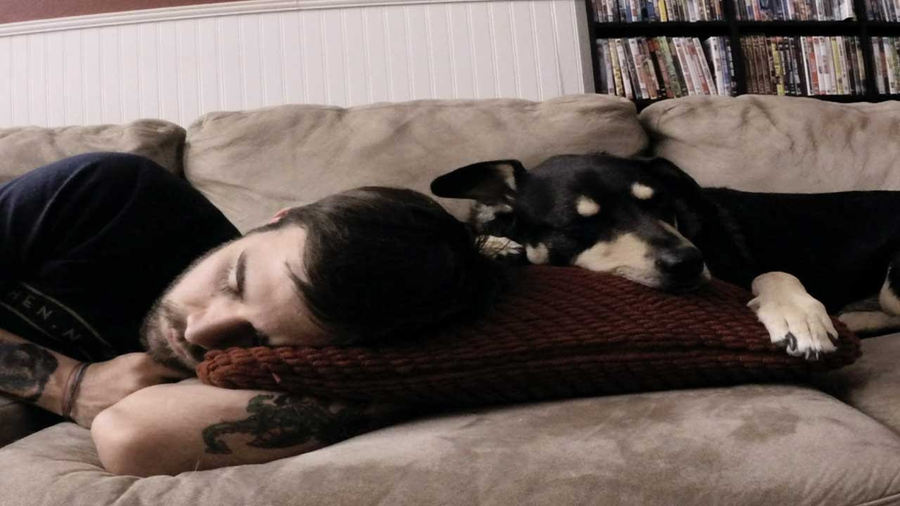 Here is why sleeping with your dog is not right