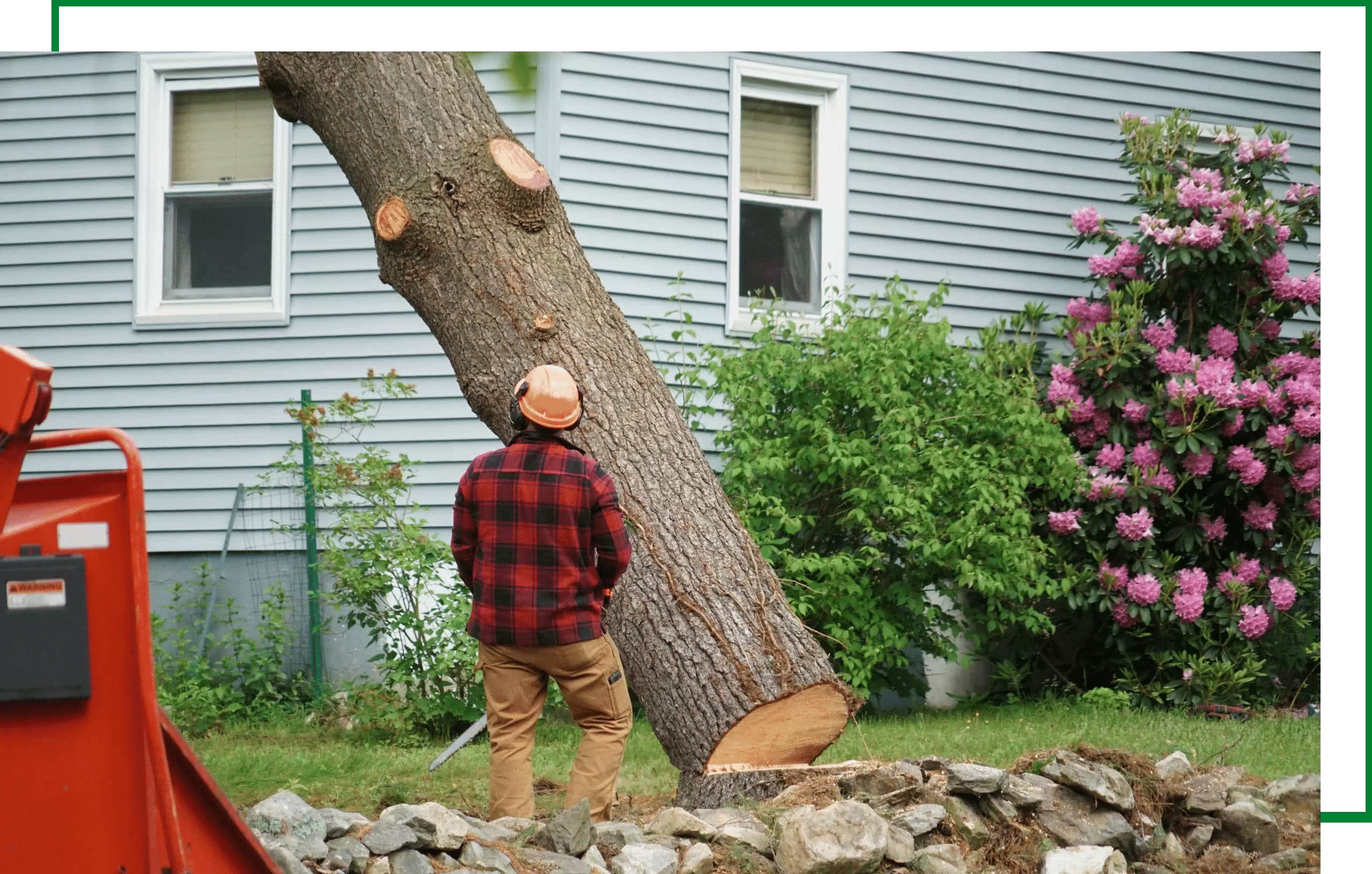 Professional Tree Removal Sacramento Hire The Tree Removal Experts