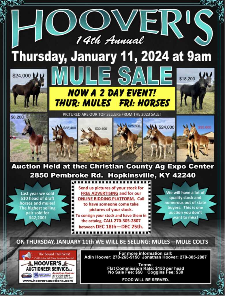 Hoover's 14th Annual Mule Sale Hoover's Auctioneer Service
