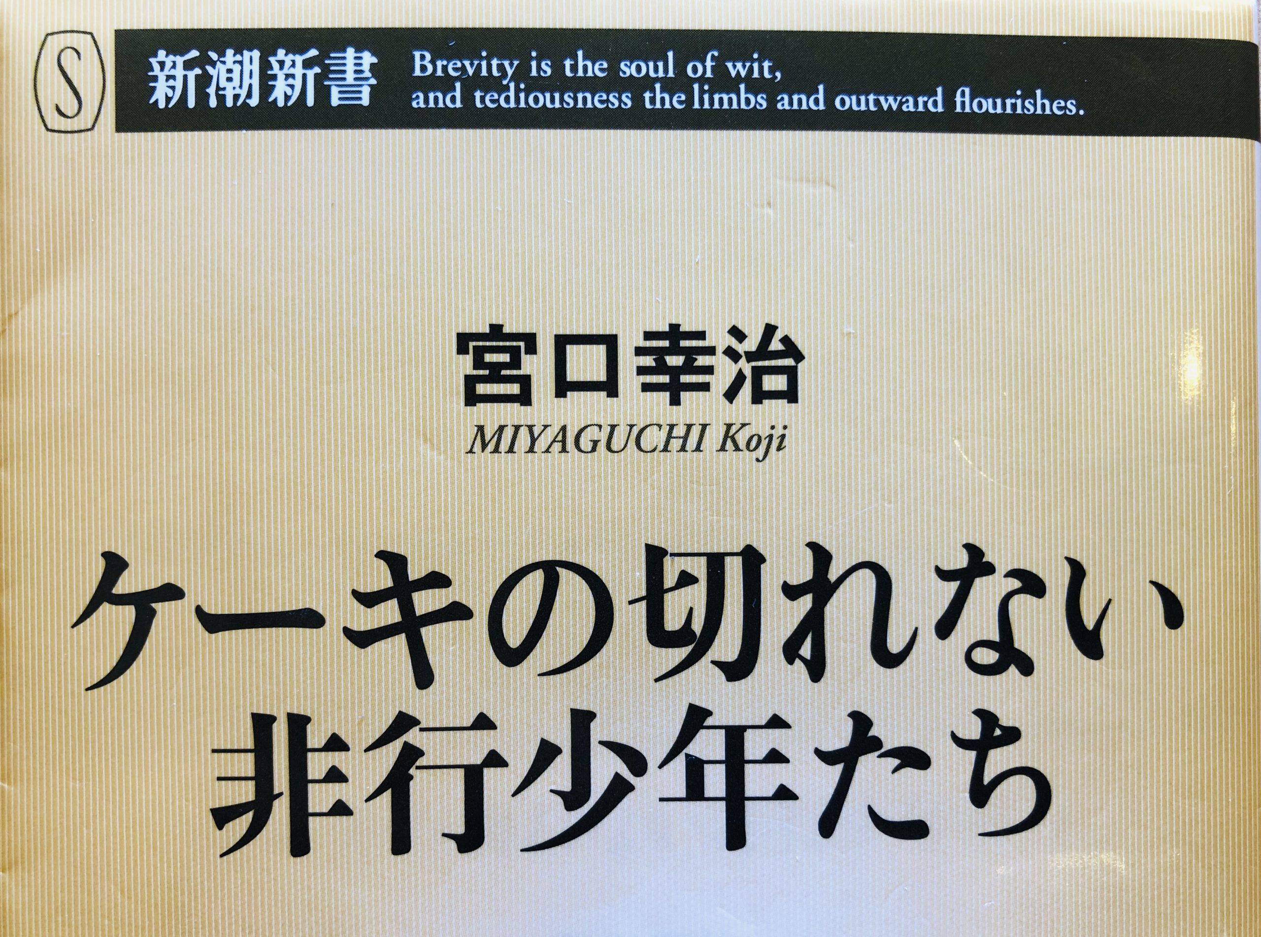 書評レビュー・カズレーザー推し本】ケーキの切れない非行少年たち（宮口幸治）要約と感想 | Hop Consulting