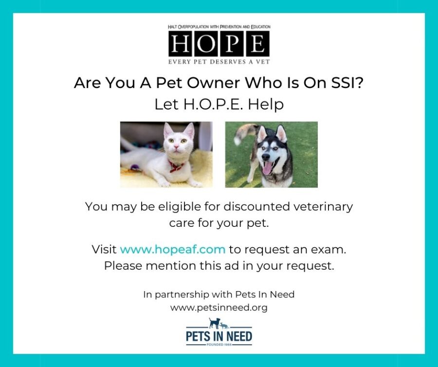 Funny Spay And Neuter Slogans 9 Funny Cat Quotes And Sayings The Barn