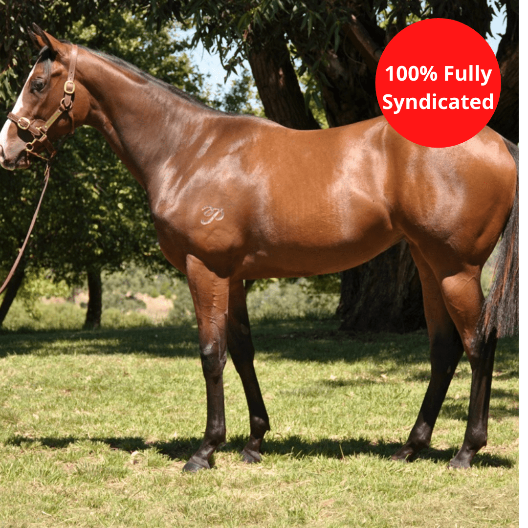 Hope Eden Racing Australia Racehorse Ownership Australia Racing