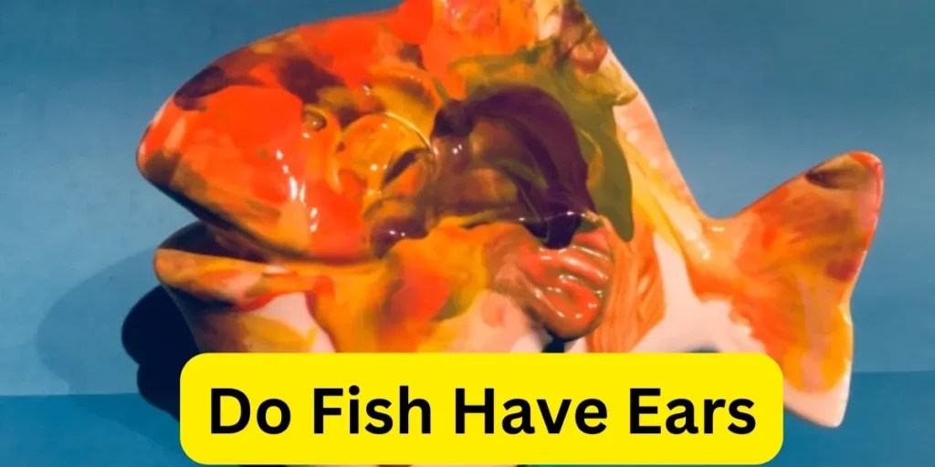 Do Fish Have Ears? Exploring Aquatic Hearing Abilities
