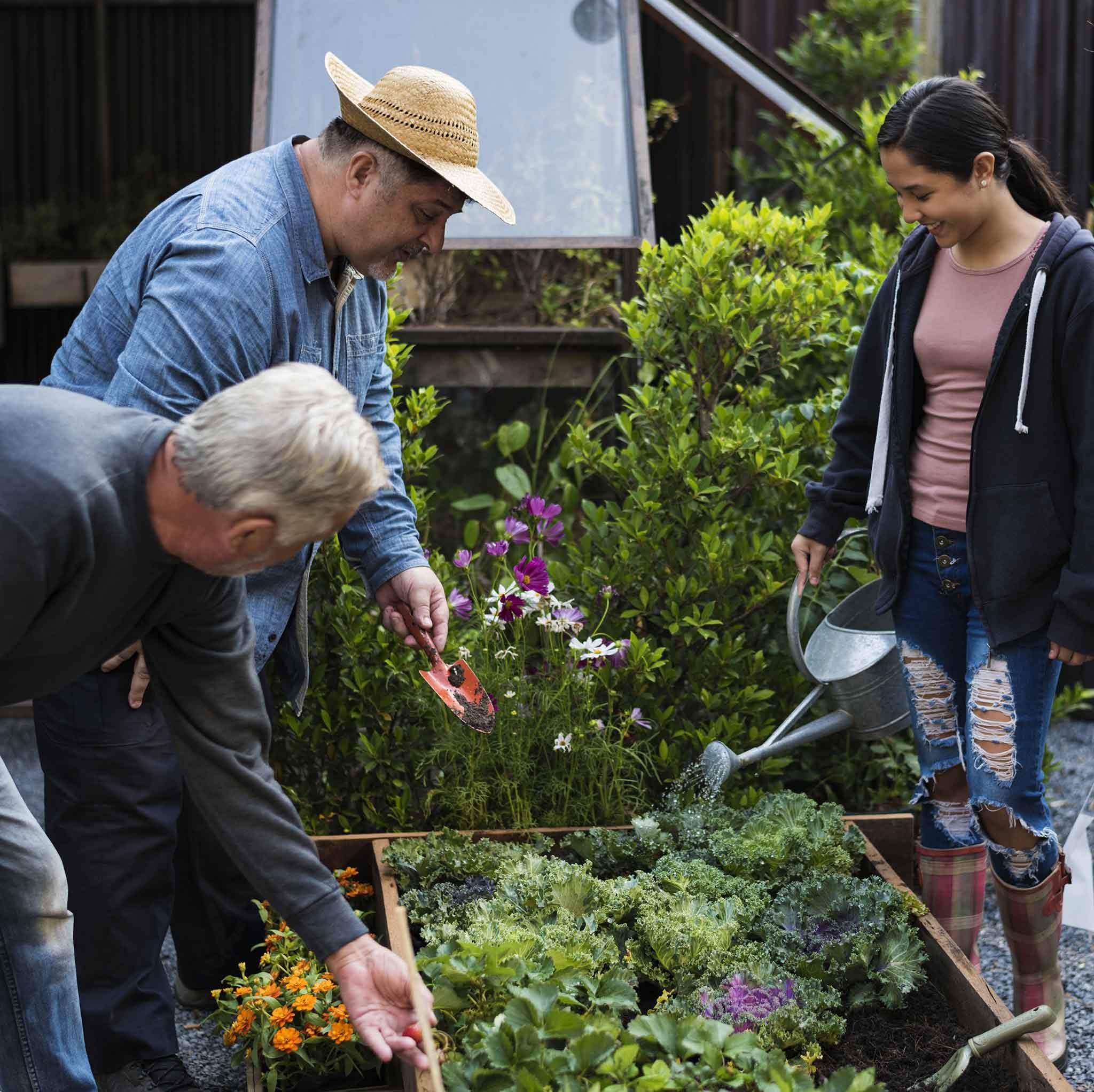 Community Garden Hope Farms