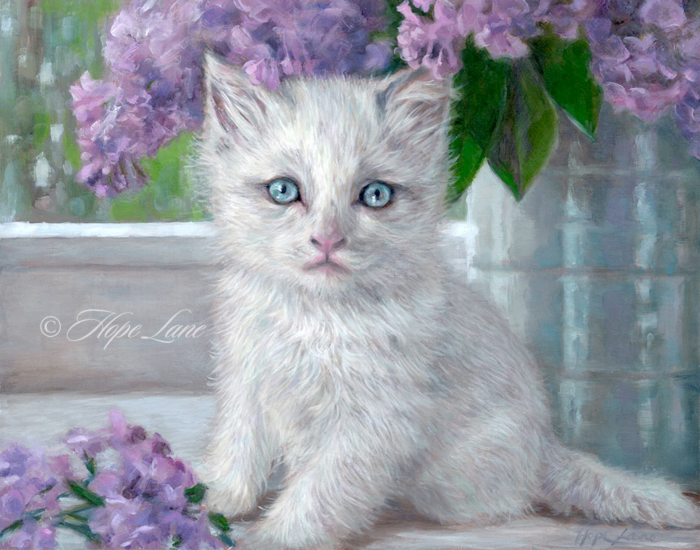Finished Painting of a White Kitten Hope Lane Art
