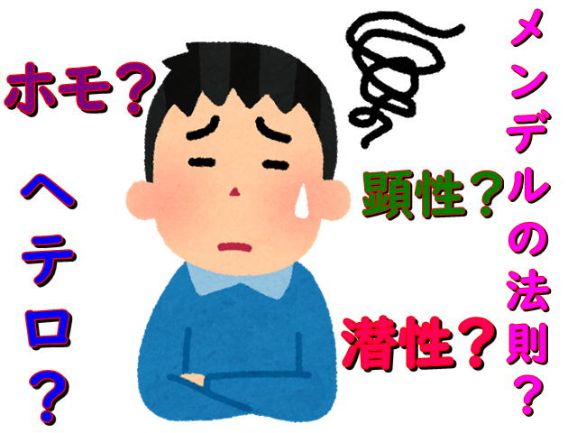なんのこっちゃ 笑 ホップめだか なんのこっちゃ 笑 ホップめだか