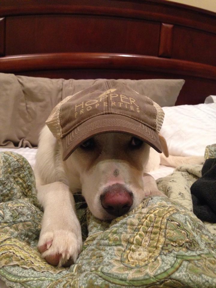 Photo Gallery Hopper Properties