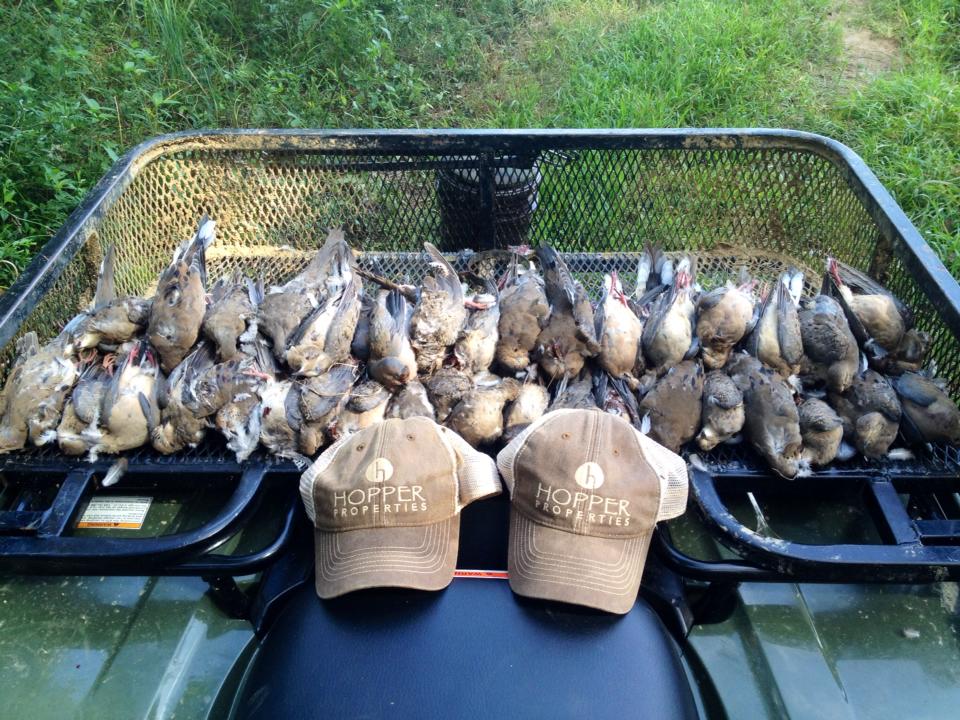 Photo Gallery Hopper Properties