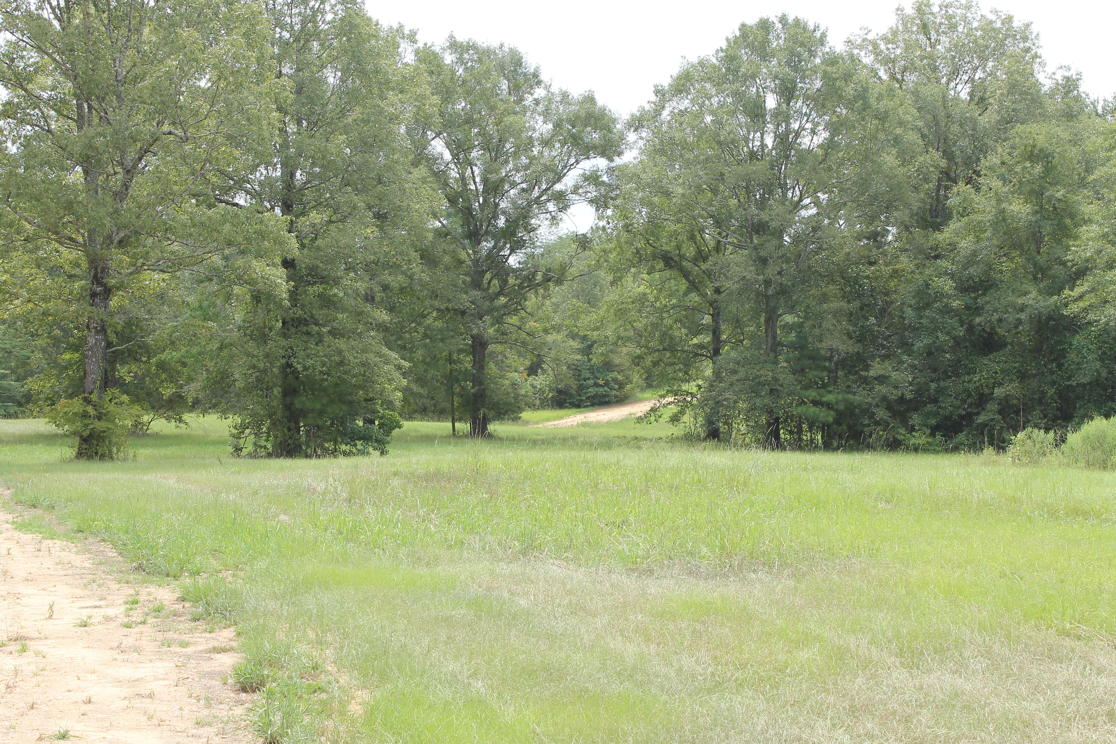 LA Listings/Equity Shares Hopper Properties