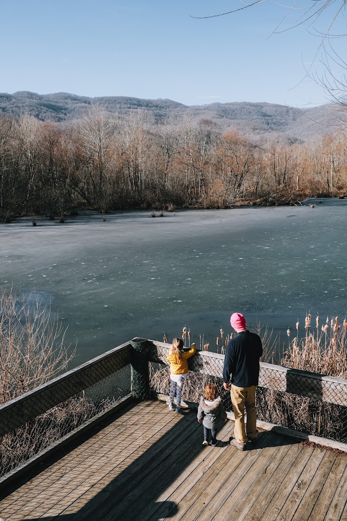 Tennessee State Park Tour Cove Lake HOPS AND SKIPS Seeking