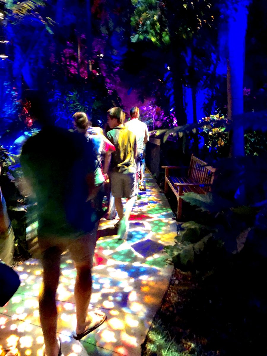 The Night Garden Experience en Fairchild Botanical Garden Hora Miami