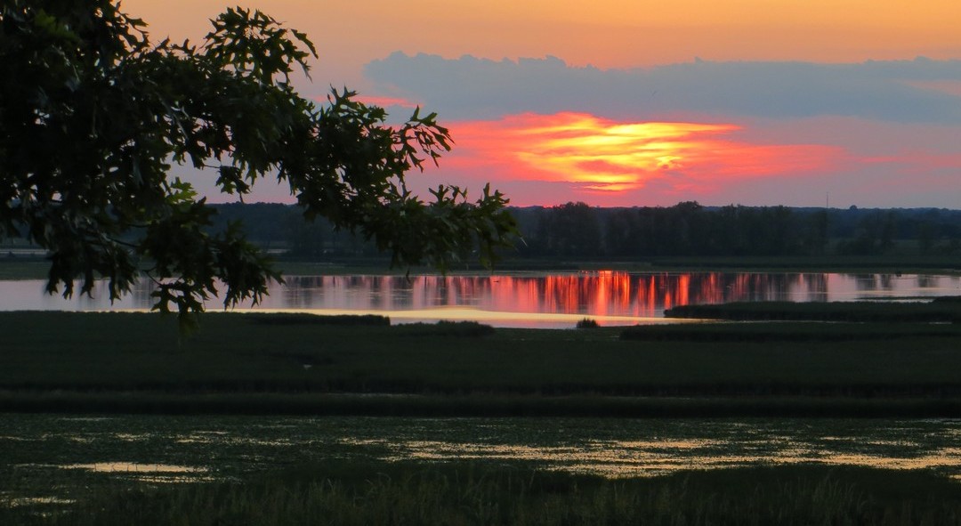Blue Heron Landing Horicon, WI