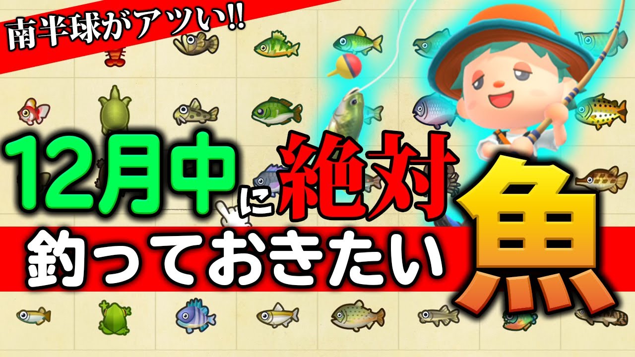【あつ森】12月に絶対釣っておくべき魚はこれだ！！イトウが帰ってきたぞ～！【あつまれ どうぶつの森】【ぽんすけ】ほか