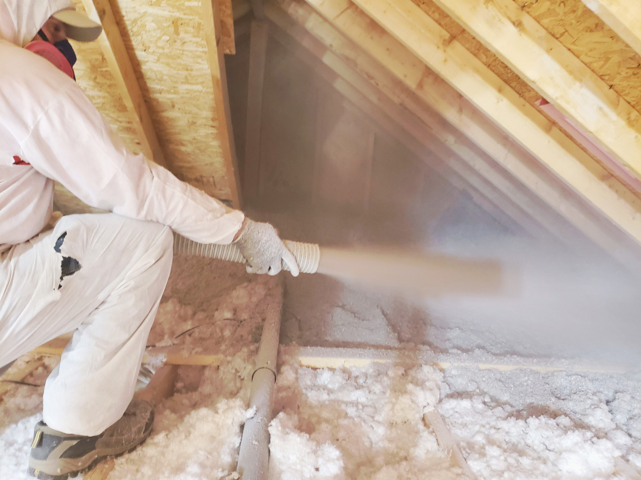Why Should You Insulate Your Home? A Guide to Insulation Horizon