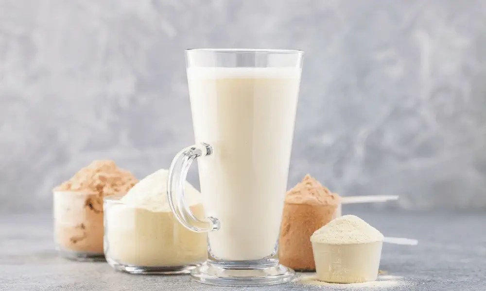 Meal Replacement vs Whey Protein 10 Key Differences