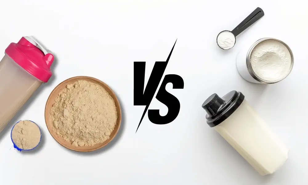 Meal Replacement vs Whey Protein 10 Key Differences