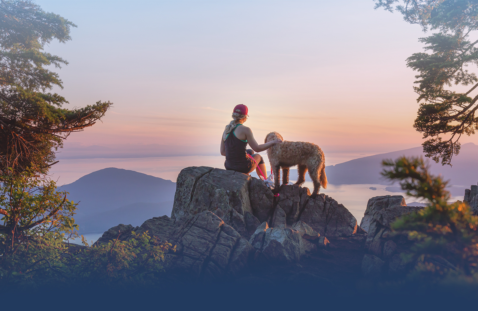 Contact Horizon Dog Training