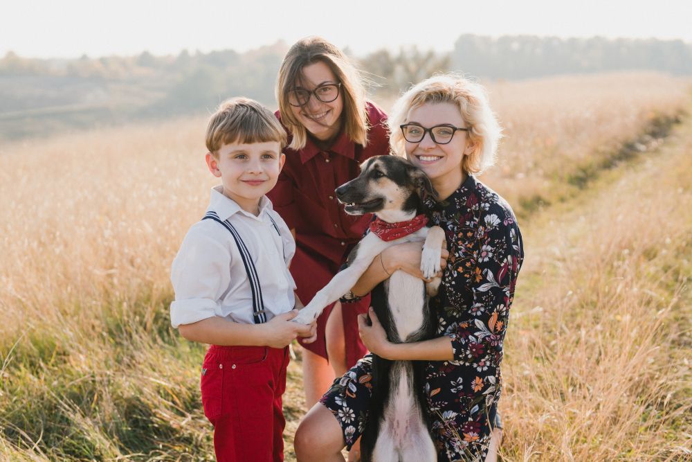 Foster Care for Pets Horizon Fostering Services