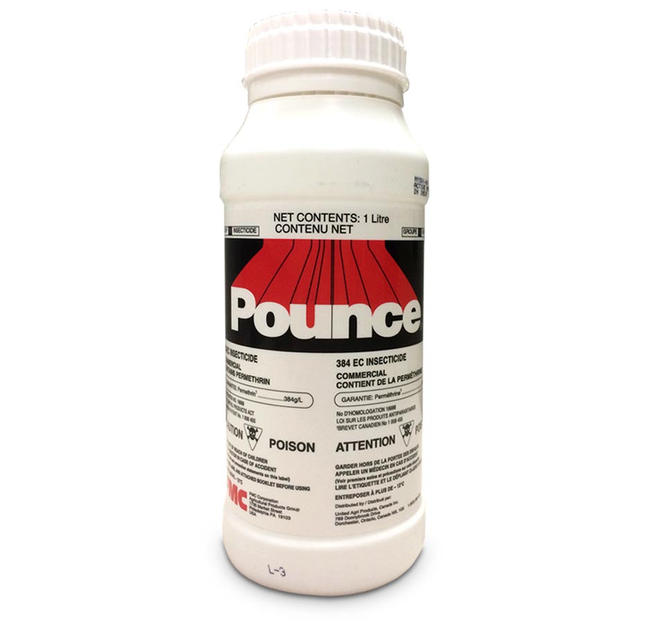 POUNCE 384EC Insecticide 1L Horizon Livestock & Poultry Supply