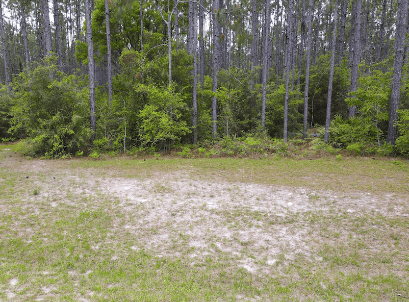 8.05 Acres in Tallahassee Ranch Club Horizon Land Sales