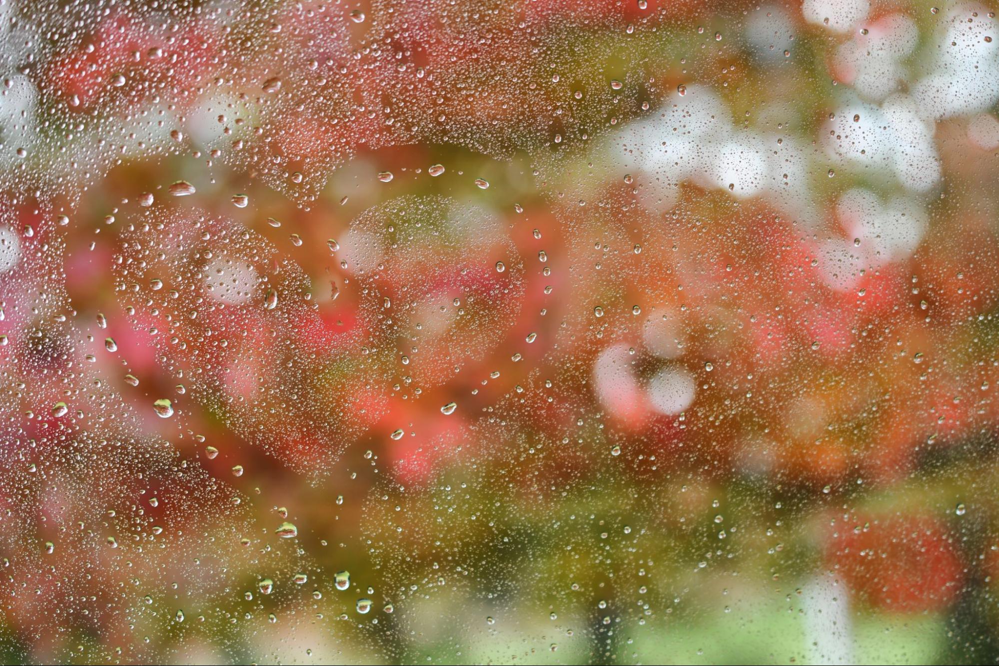 How Roof Vents Prevent Condensation